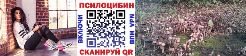 Псилоцибиновые грибы Magic Shrooms  МЕГА как зайти  Надым  хочу  